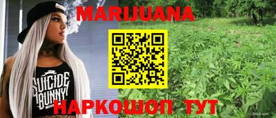 spice Обь