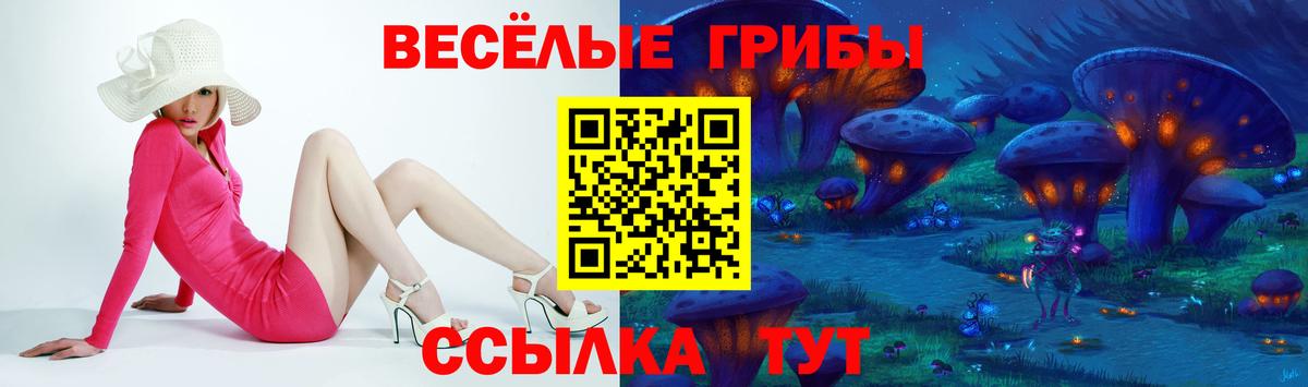 Галлюциногенные грибы GOLDEN TEACHER Туапсе