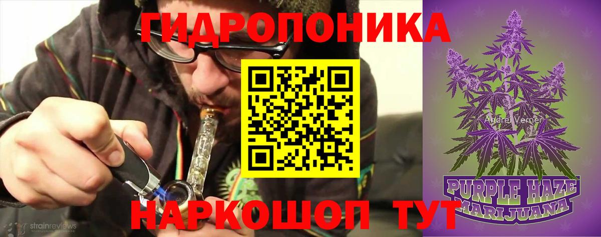 Канабис сатива Туапсе